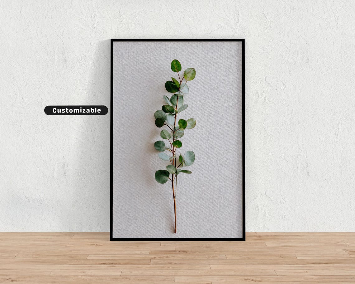 Single Eucalyptus Sprig In Minimalist Style On Bright White Poster Minimal Botanical Wall Art Neutral Nature Print