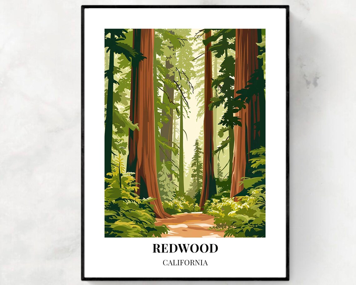 Redwood National Park California Giant Forest Trail Travel Poster