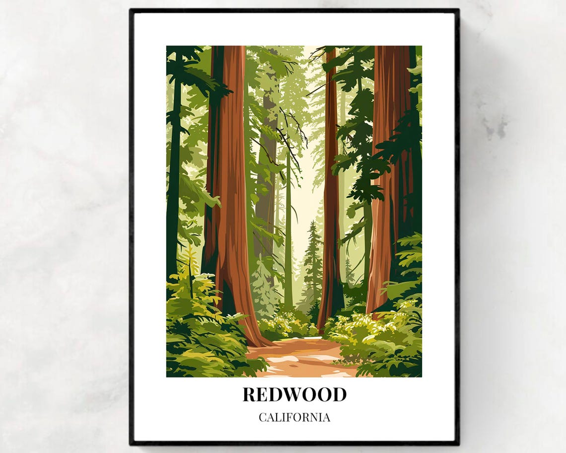 Redwood National Park California Travel Print Wall Art Redwood National Park California City Print Redwood National Park Travel Gift