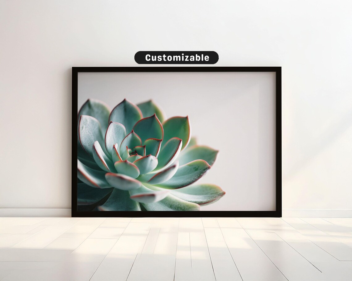 Succulent Plant Close Up Photography Poster Modern Green Decor