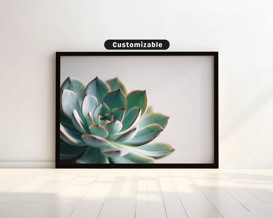 Succulent Plant Closeup With Soft Shadows And White Space Botanical Wall Art Neutral Minimal Print