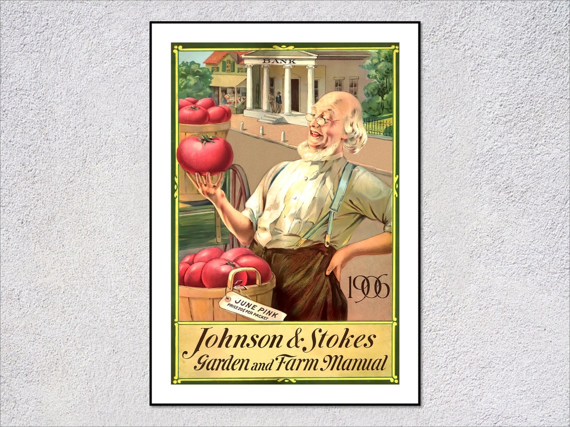 1906 Johnson Stokes Farmer With Tomatoes Vintage Seed Ad Poster