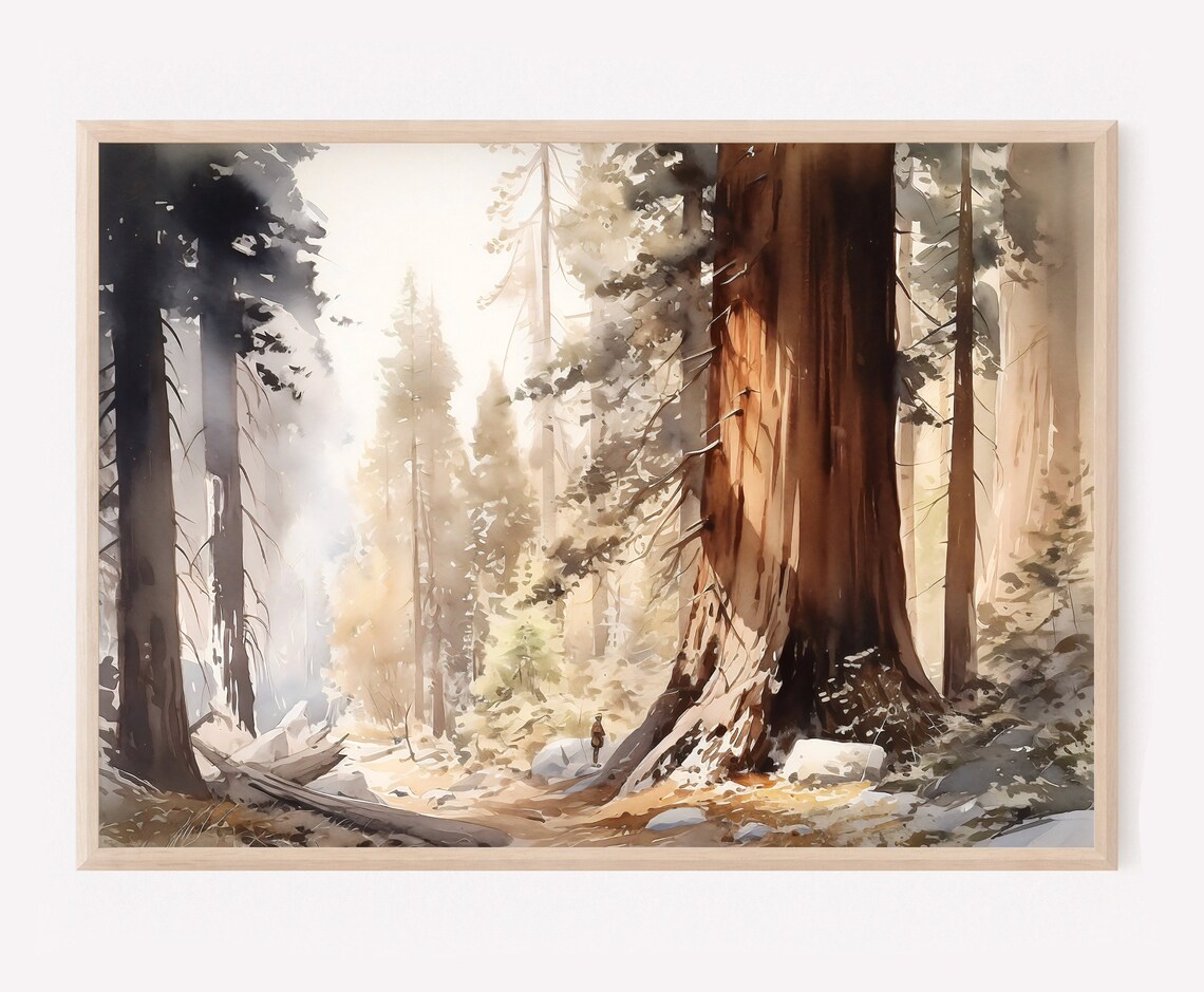 Sequoia Watercolor National Park Art Print