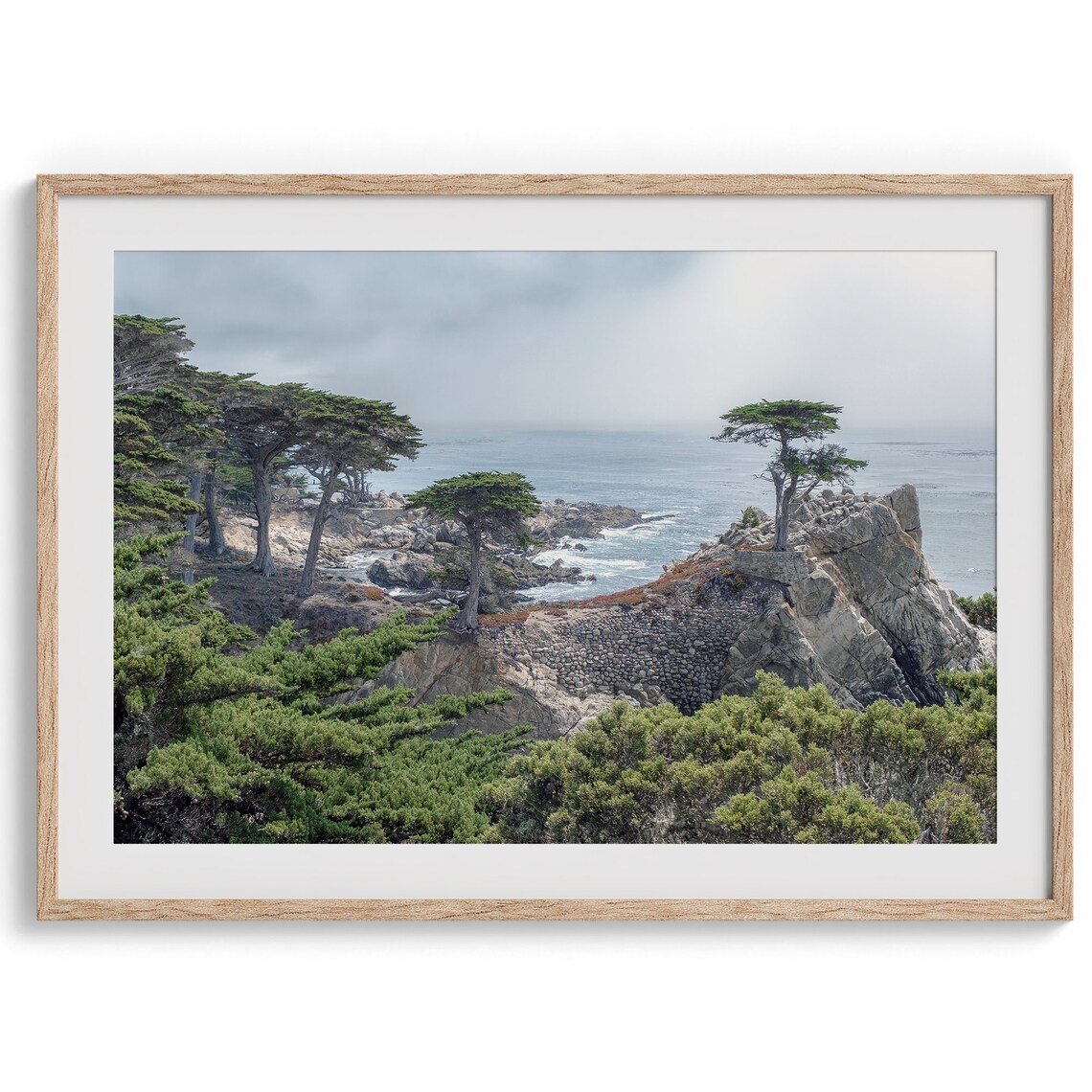Lone Cypress Tree, Monterey Coastal Art Print