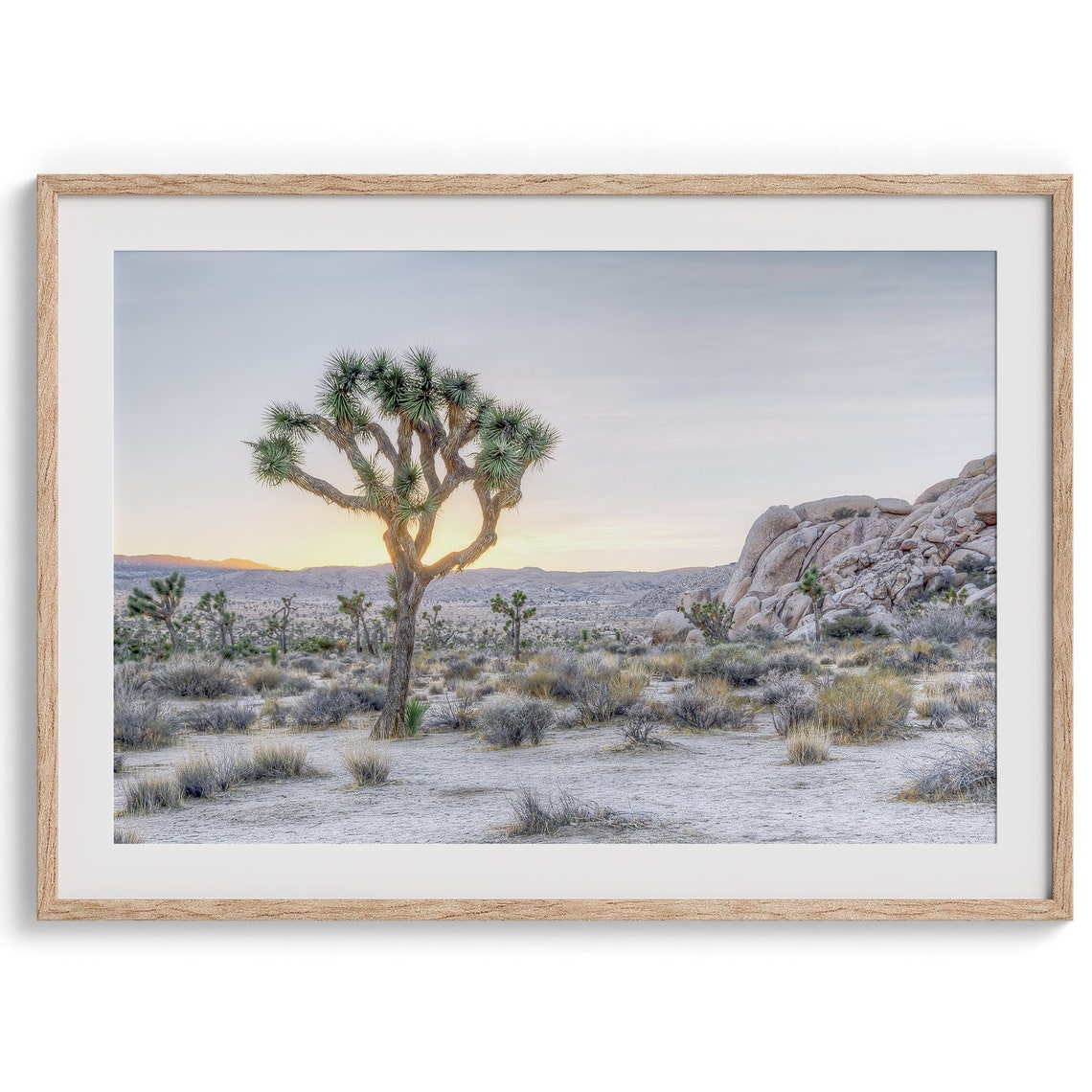 Joshua Tree Desert Sunset Golden Hour Rock Formations Nature Poster