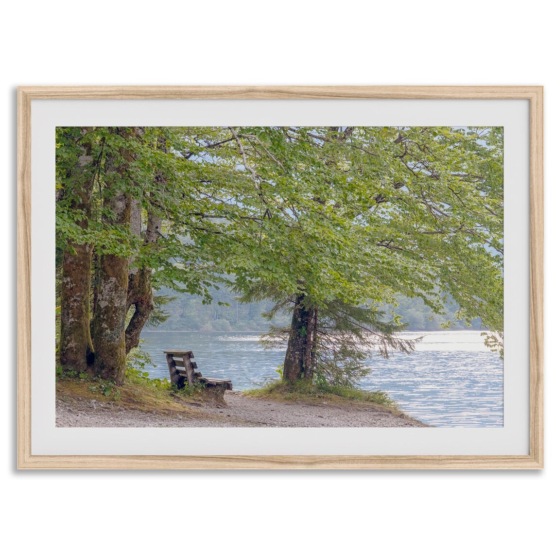 Serene Beach Lake Tree Fine Art Photography Print