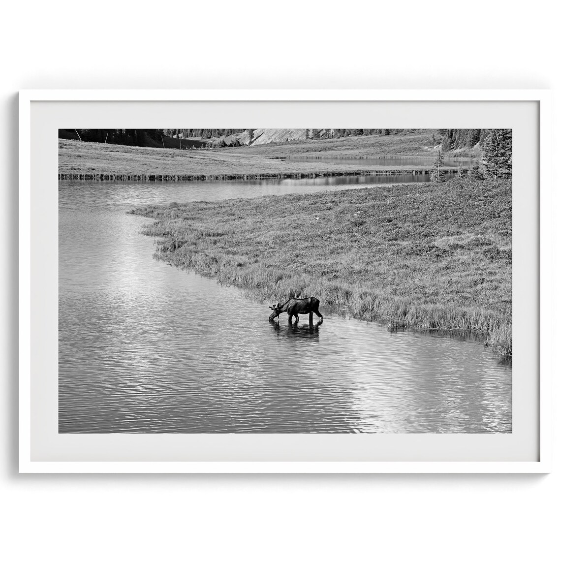 Black And White Moose River Mountain Meadow Minimalist Wildlife Poster - Image 4