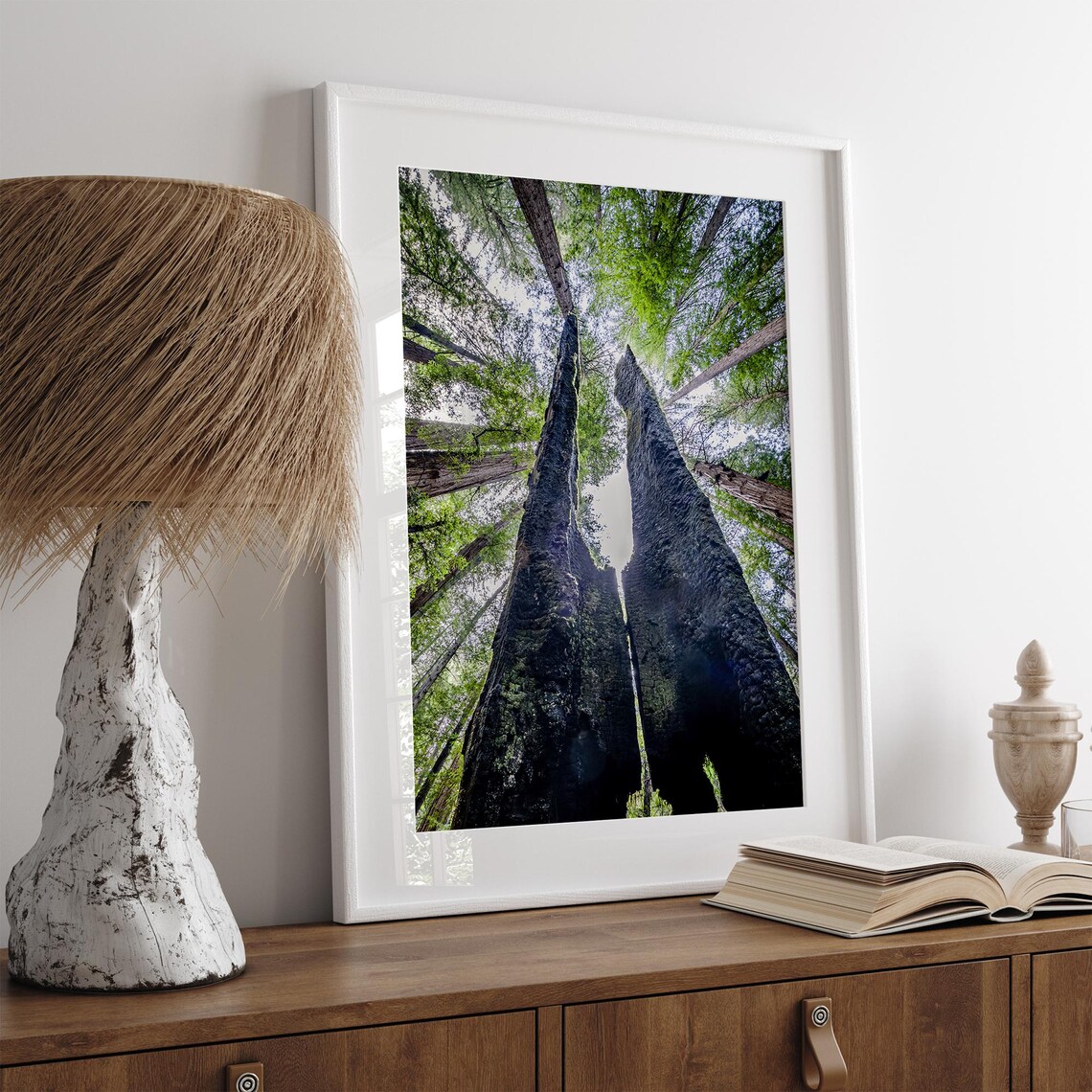 Redwood Canopy Fine Art Photography Art Print - Image 3