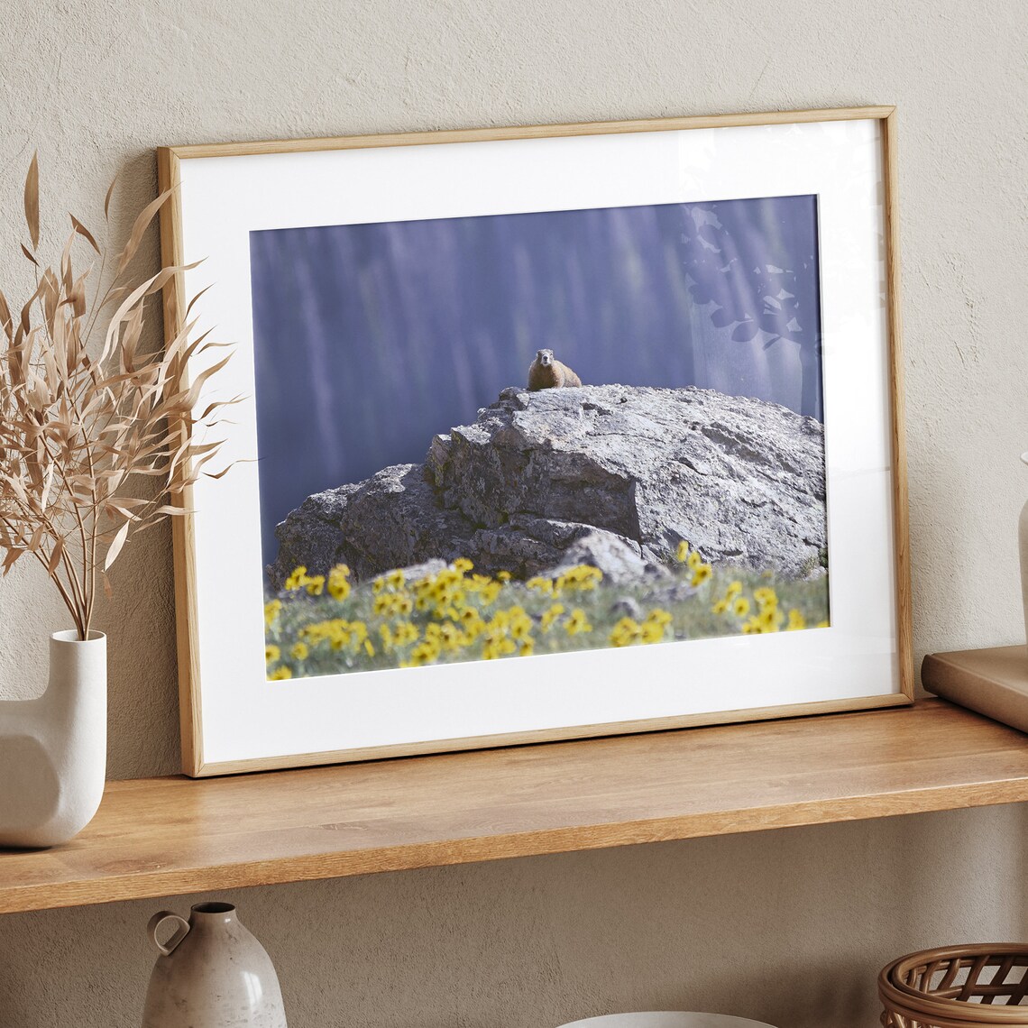 Marmot Sitting On Alpine Rock Among Yellow Wildflowers Mountain Print - Image 5