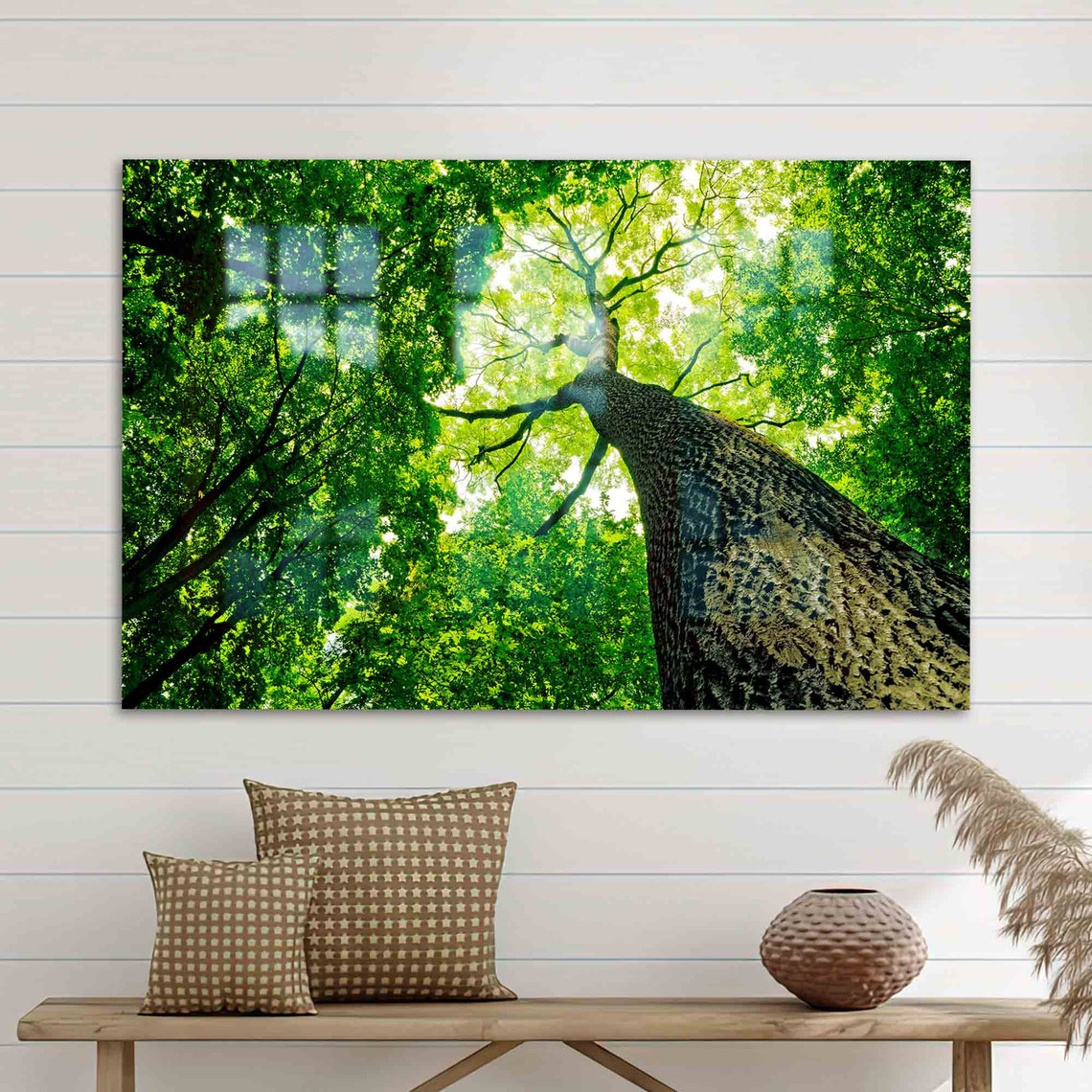 Ancient Old Tree Canopy Sunlight Through Green Leaves Photo Poster