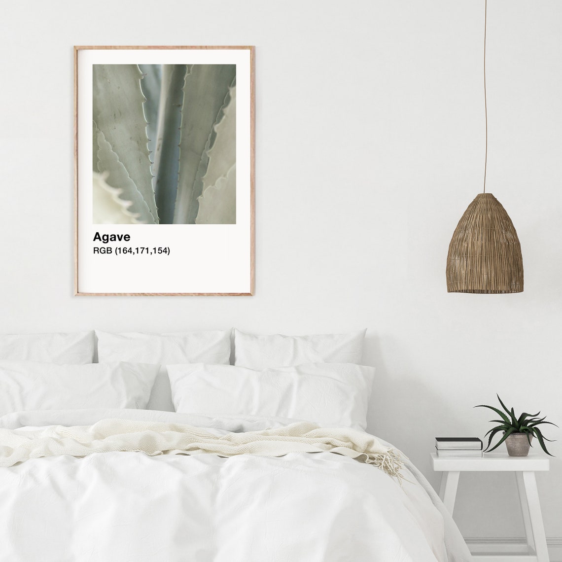 Agave Plant Botanical Photo With Color Label Minimalist Wall Art - Image 3