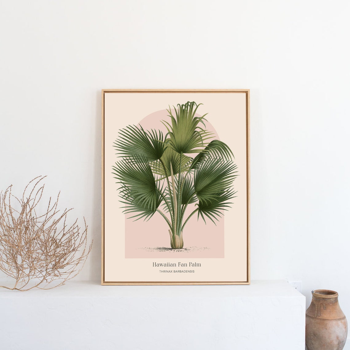 Hawaiian Fan Palm Thrinax Botanical Vintage Tropical Art Poster - Image 2