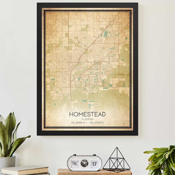 Homestead Florida Vintage Street Map Coordinate Urban Art Poster