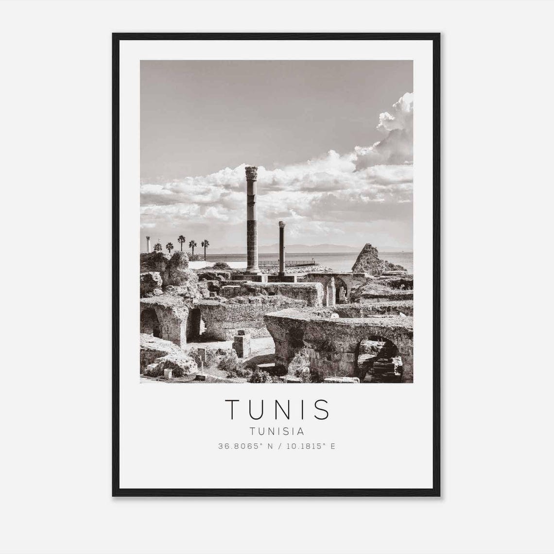 Tunis Tunisia Ancient Carthage Ruins Columns Sea Black White Poster