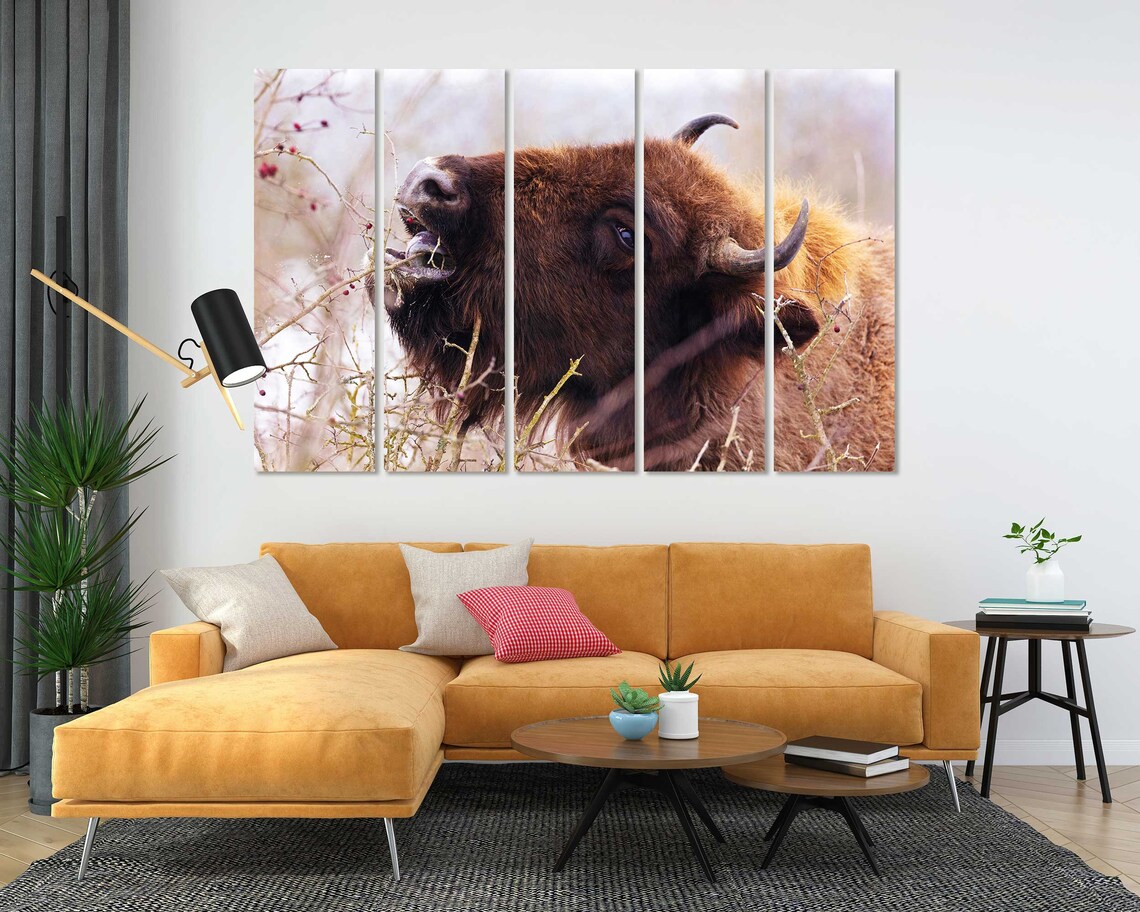 Buffalo Bison Eating Berries Closeup Wild Animal Wildlife Poster - Image 5
