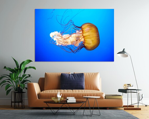 Orange Jellyfish Chrysaora Underwater Original Art For Living Room Big Jellyfish Print Decor Jellyfish Pictures In Wood Frame