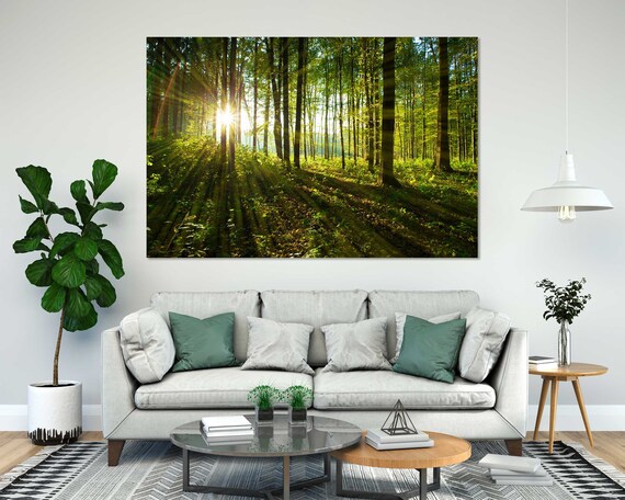 Forest Trees At Sunlight Large Decor For Wall Sunny Forest Popular Art For Gift Forest Photo Print Green Trees Artwork On