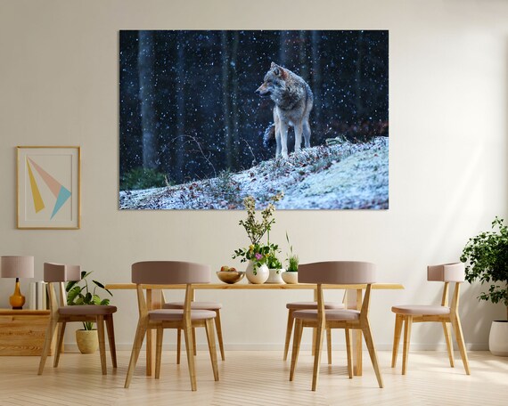 Gray Wolf Standing In Snowy Forest At Nightfall Wildlife Poster