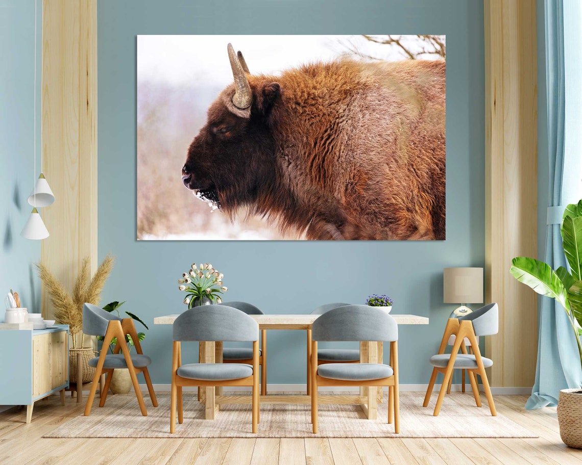 Bison Closeup Portrait In Snowy Winter Landscape Wildlife Poster - Image 3
