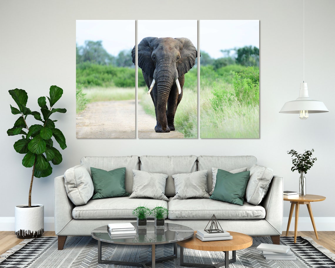 African Elephant Walking Savannah Path Majestic Wildlife Poster - Image 8