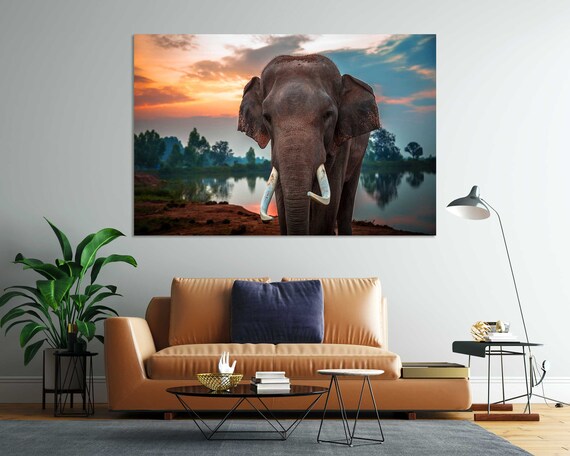 Elephant With Tusks At Sunset By The Lake Wildlife Photo Poster