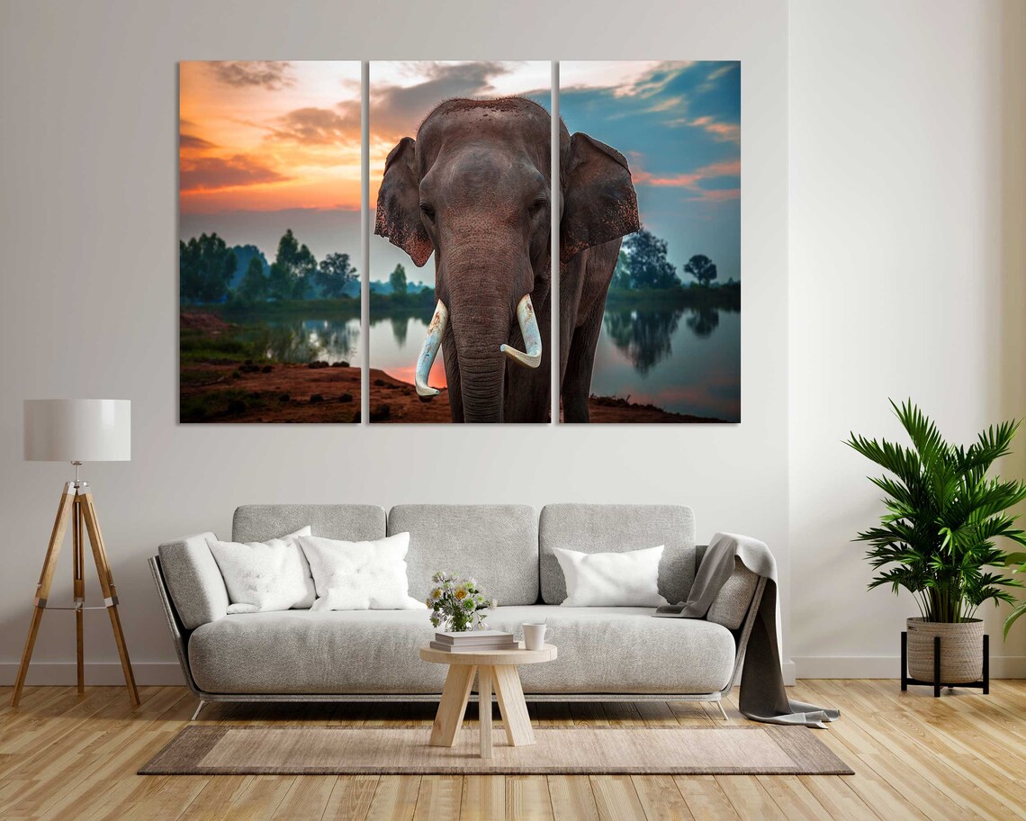 Elephant With Tusks At Sunset By The Lake Wildlife Photo Poster - Image 8