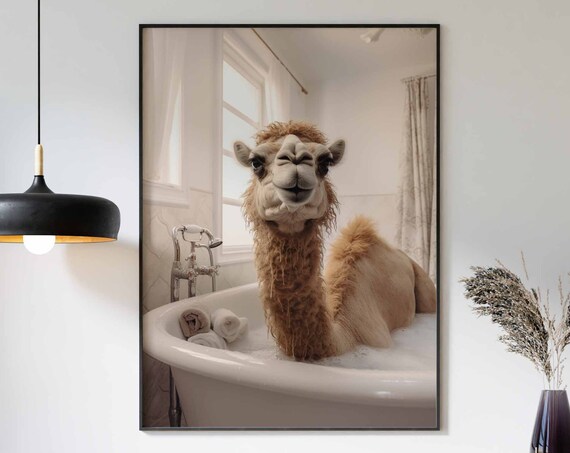 Camel Relaxing In A Warm Bubble Bath With Rolled Towels Poster