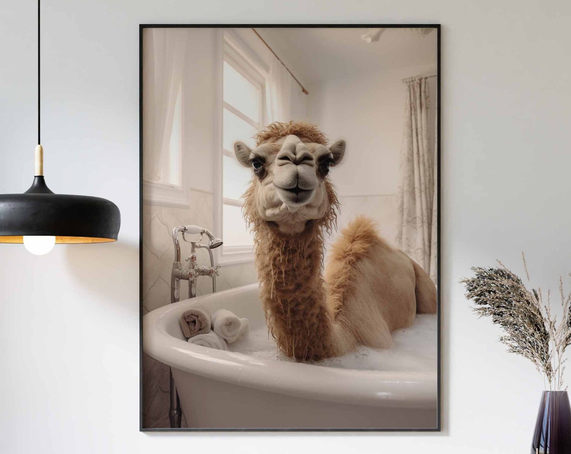 Camel Relaxing In A Warm Bubble Bath With Rolled Towels Poster
