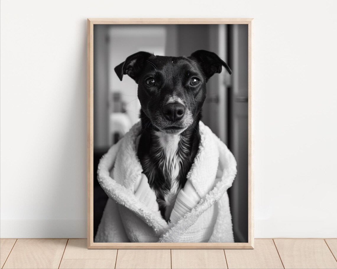 Wet Dog Wrapped in a Bath Towel Funny Black and White Poster