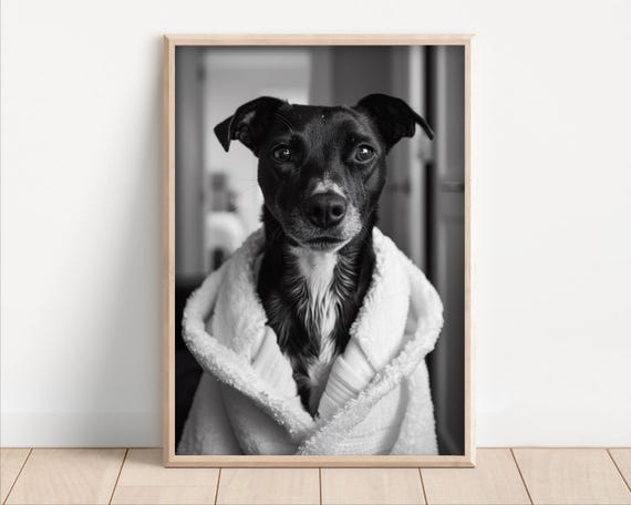 Dog Wearing A Bathrobe Poster Or Canvas Funny Bathroom Wall Art Cute Animals In Kids Laundry Room Decor Print