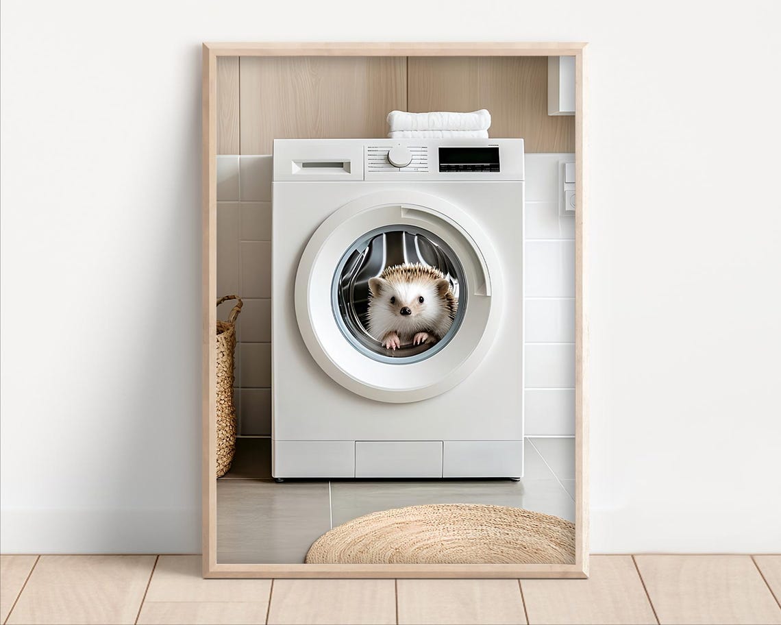 Hedgehog In A Washing Machine Poster Or Canvas Funny Bathroom Wall Art Cute Laundry Room Decor Retro Animals Print