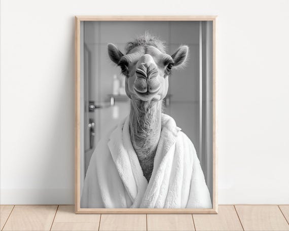 Camel Wearing A Bathrobe Poster Or Canvas Funny Bathroom Wall Art Cute Animals In Kids Laundry Room Decor Print