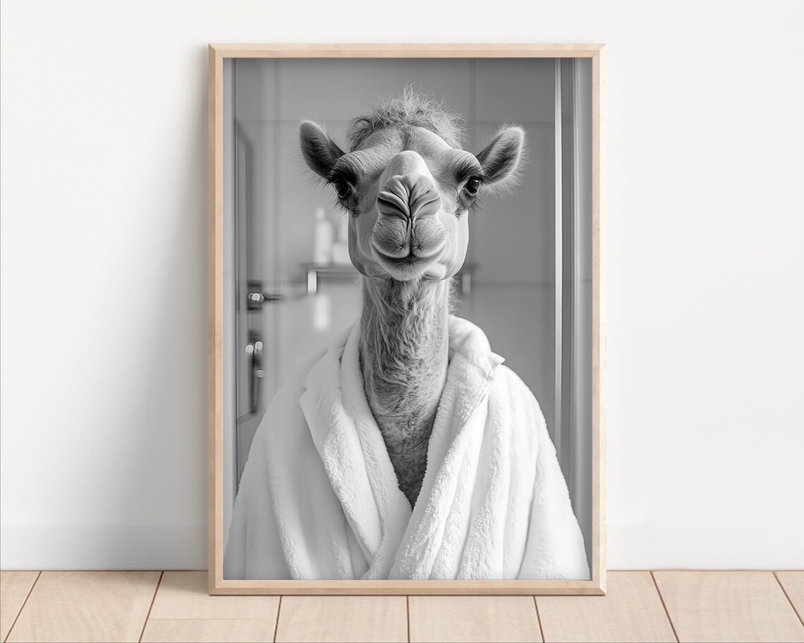 Camel Wearing A Bathrobe Poster Or Canvas Funny Bathroom Wall Art Cute Animals In Kids Laundry Room Decor Print