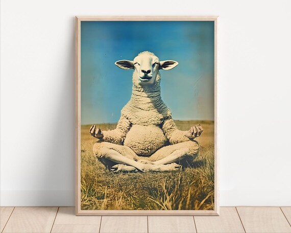 Meditating Sheep Zen Yoga Funny Retro Farm Animal Photo Wall Art