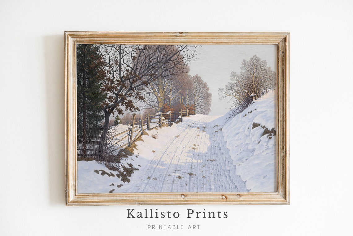 Snowy Country Path With Wooden Fences And Bare Trees Winter Poster