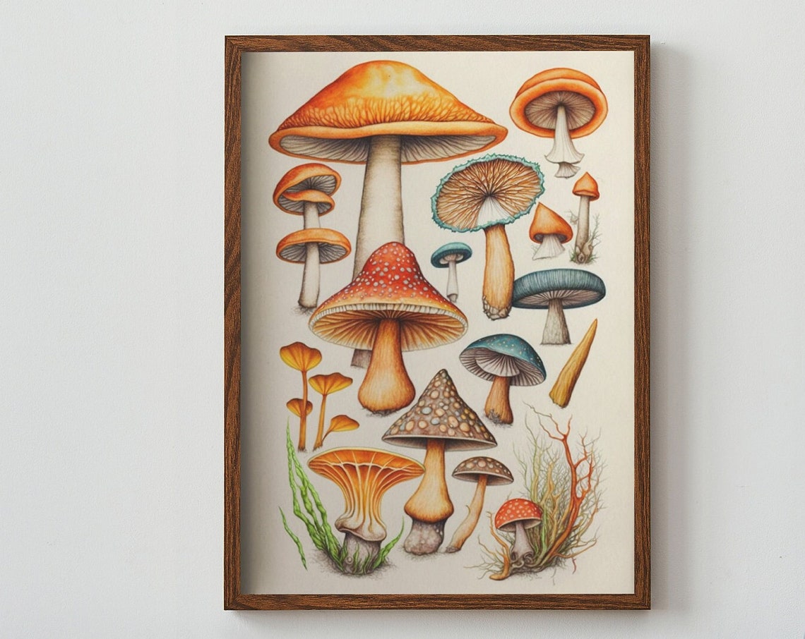 Colored Pencil Mushroom Sketch Botanical Fungi Study Art Print