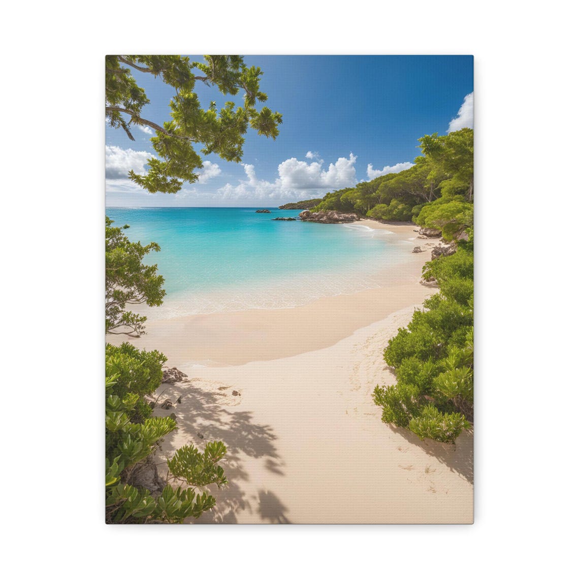 Turquoise Tropical Beach with White Sand and Palm Trees Photo Poster