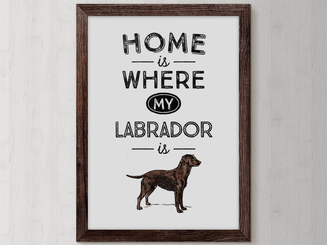 Labrador Dog Quote Home Is Where My Labrador Is Vintage Poster