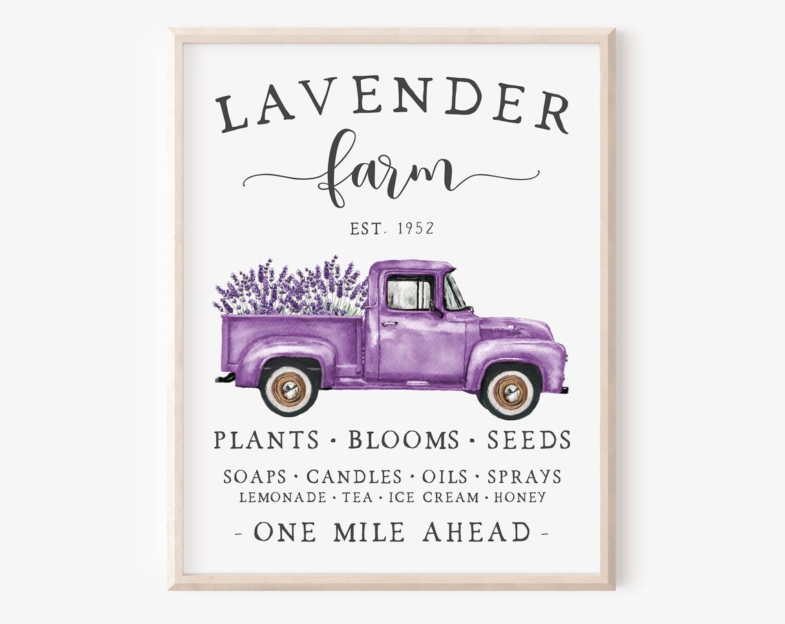Lavender Farm Summer Farmhouse Truck Art Print
