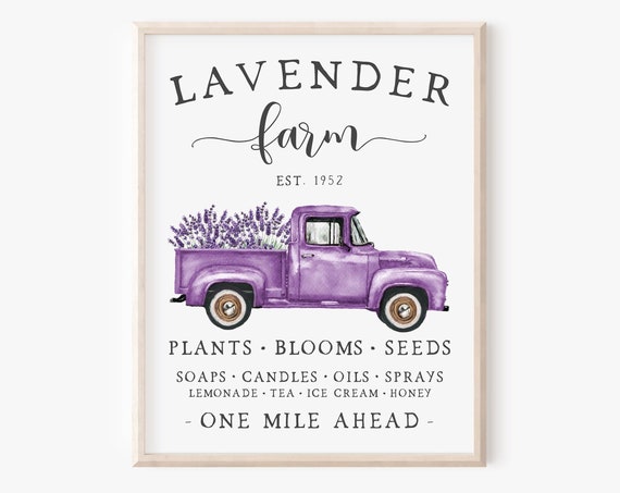 Lavender Farm Summer Farmhouse Truck Art Print