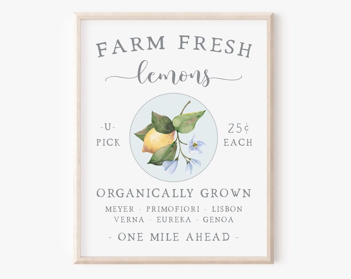 Farm Fresh Lemons Summer Art Print, Farmhouse Kitchen Decor