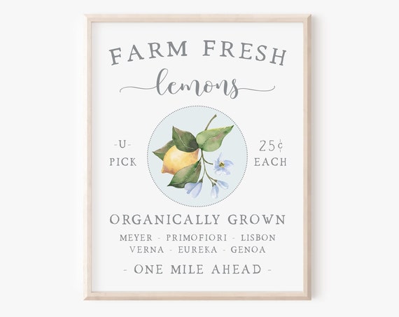Farm Fresh Lemons Summer Art Print, Farmhouse Kitchen Decor