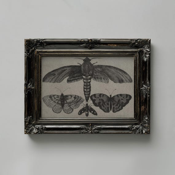 Black Butterfly Moth Print Witchy Home Decor Spooky Wall Art Moody Print Vintage Halloween Decor Gothic Academia Wall Art Vintage Print