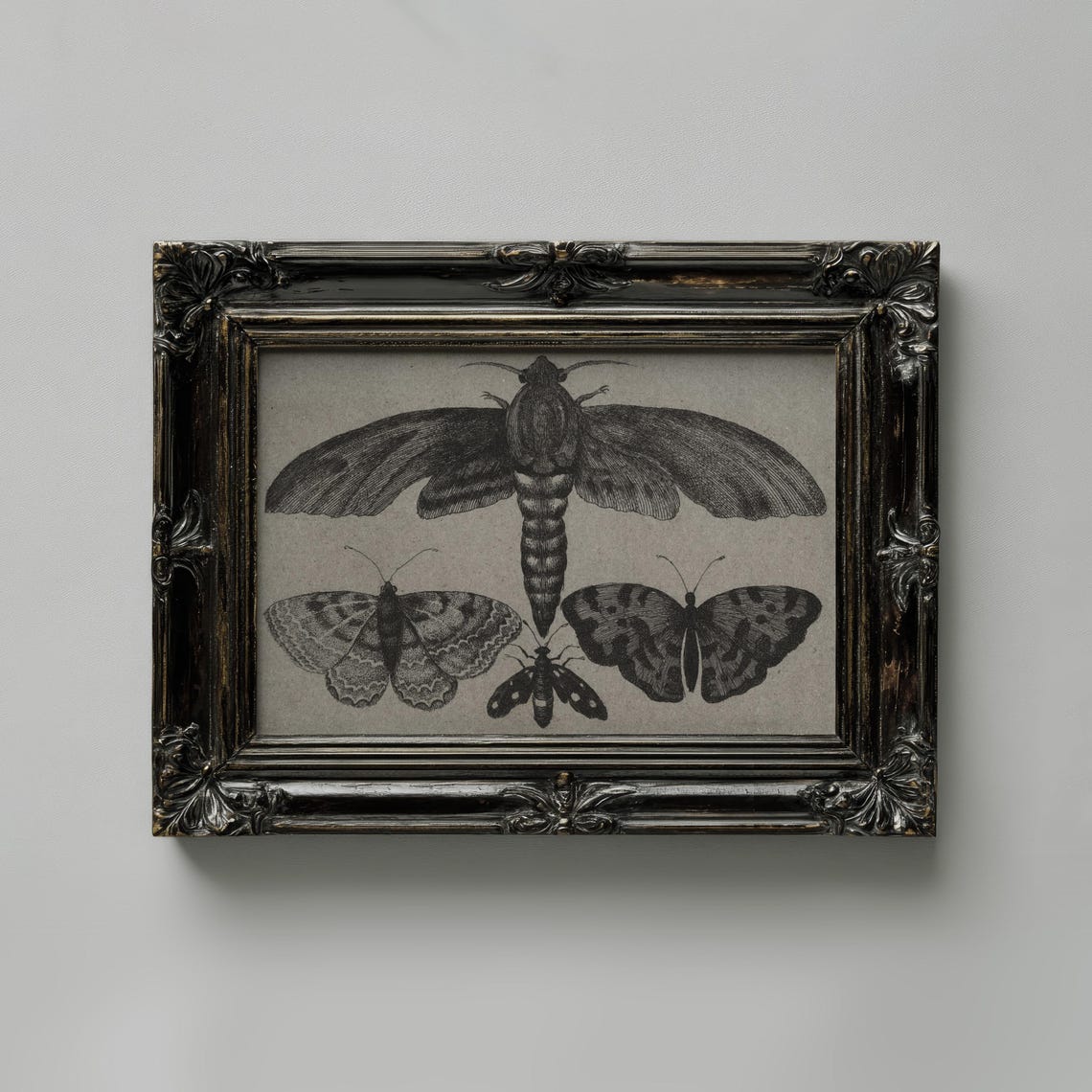 Black Moth and Butterfly Vintage Engraving Halloween Art Poster