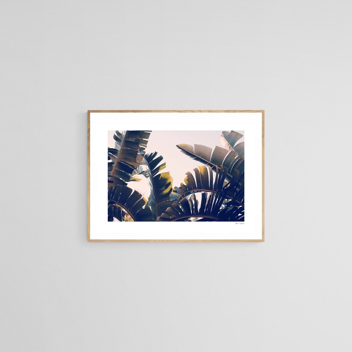 Palm Tree Banana Leaf Art Print, Tropical Photograph