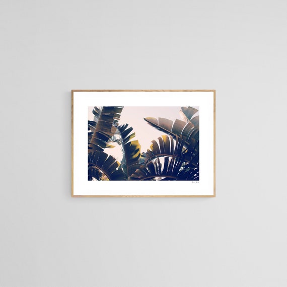 Palm Tree Banana Leaf Art Print, Tropical Photograph