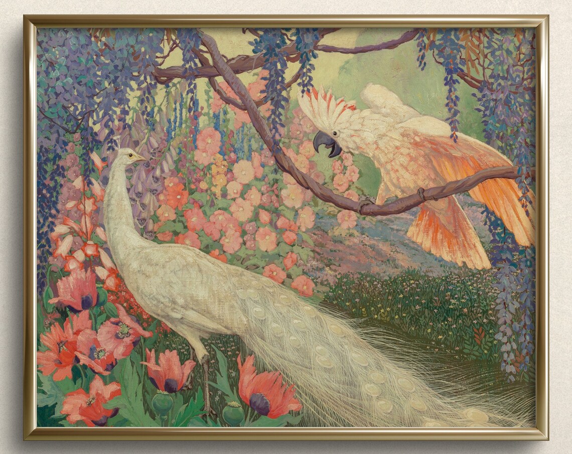 White Peacock And Pink Macaw, Vintage Bird Art
