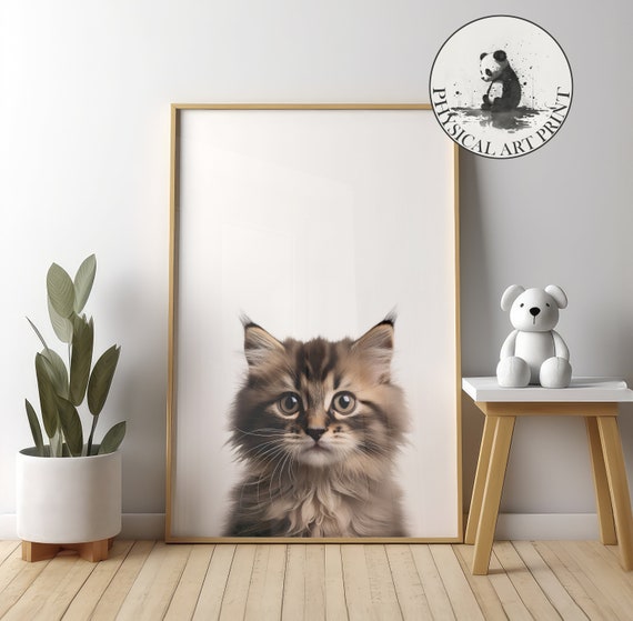 Maine Coon Kitten Wall Art Physical Print Animal Illustration Nursery Decor Infant Matte Poster