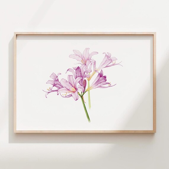 Surprise Lily Watercolor Art Print Botanical Wall Decor
