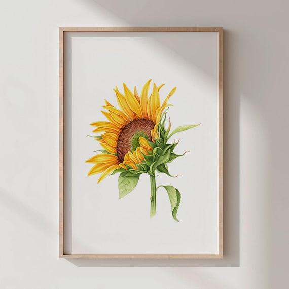 Rustic Sunflower Watercolor Botanical Bloom Flower Art Print